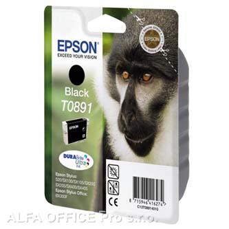 Epson originální ink C13T08914011, black, 5,8ml, Epson Stylus S20, SX100, SX200, SX400