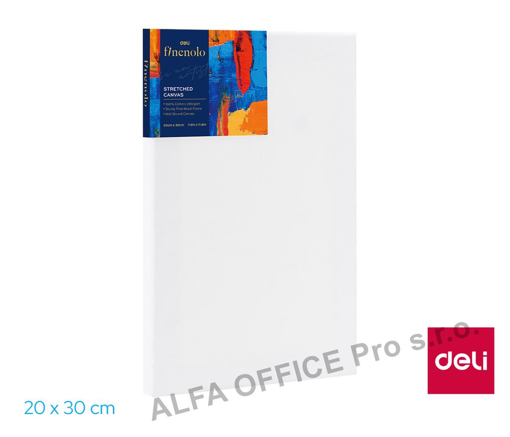 Malířské plátno 20 x 30cm