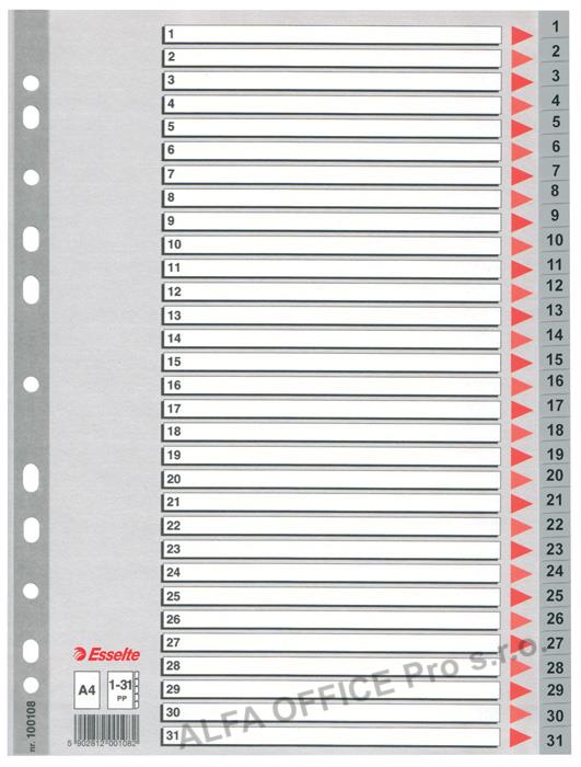 Rozdružovač A4 plastový Esselte - šedý / 1 - 31
